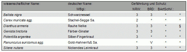 Bild von Tabelle 1