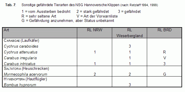 Bild von Tabelle 7