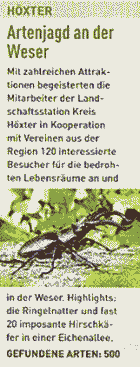 Abbildung 7