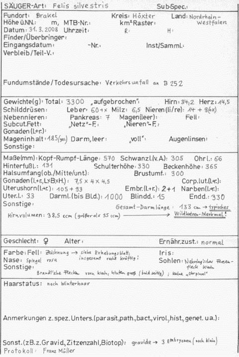 Abb. 3