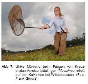 Abb. 7: Ulrike Möhring beim Fangen von Kreuzenzian-Ameisenbläulingen (<em>Maculinea rebeli</em>) auf den Kalktriften bei Willebadessen  (Foto: Frank Grawe)