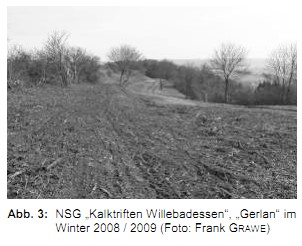 Abb. 3: NSG Kalktriften Willebadessen, Gerlan im Winter 2008 / 2009 (Foto: Frank GRAWE)